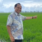 TRI WAHYUDI 1